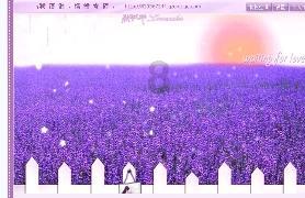 超新星魔导师